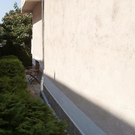 Apartments In House Silent Nature 桑丹斯基 外观 照片